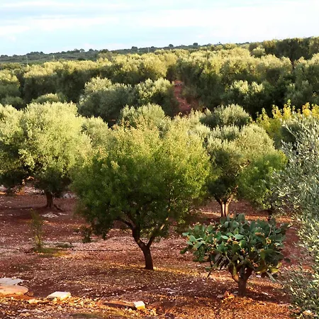 Casale Con Cipresso 卡洛维诺
